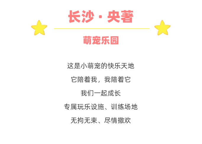 20200804285344