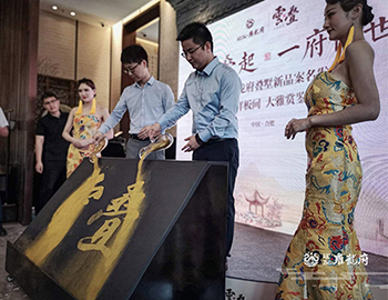【尊龙集团官网·雍龙府】万象城旁，6米层高叠墅验资首日人气完爆世界杯开幕式。。 